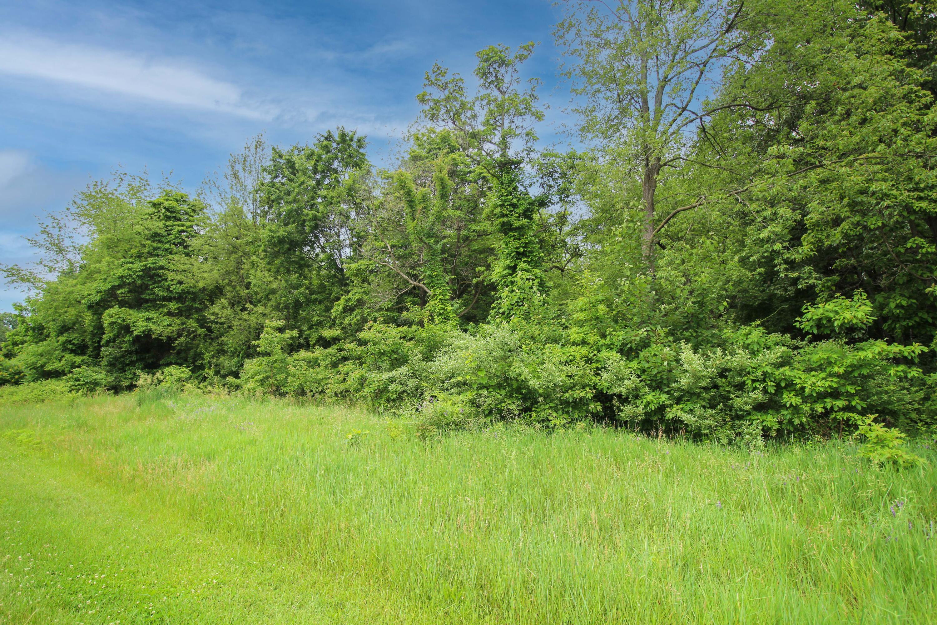 Image 2: Land-9811