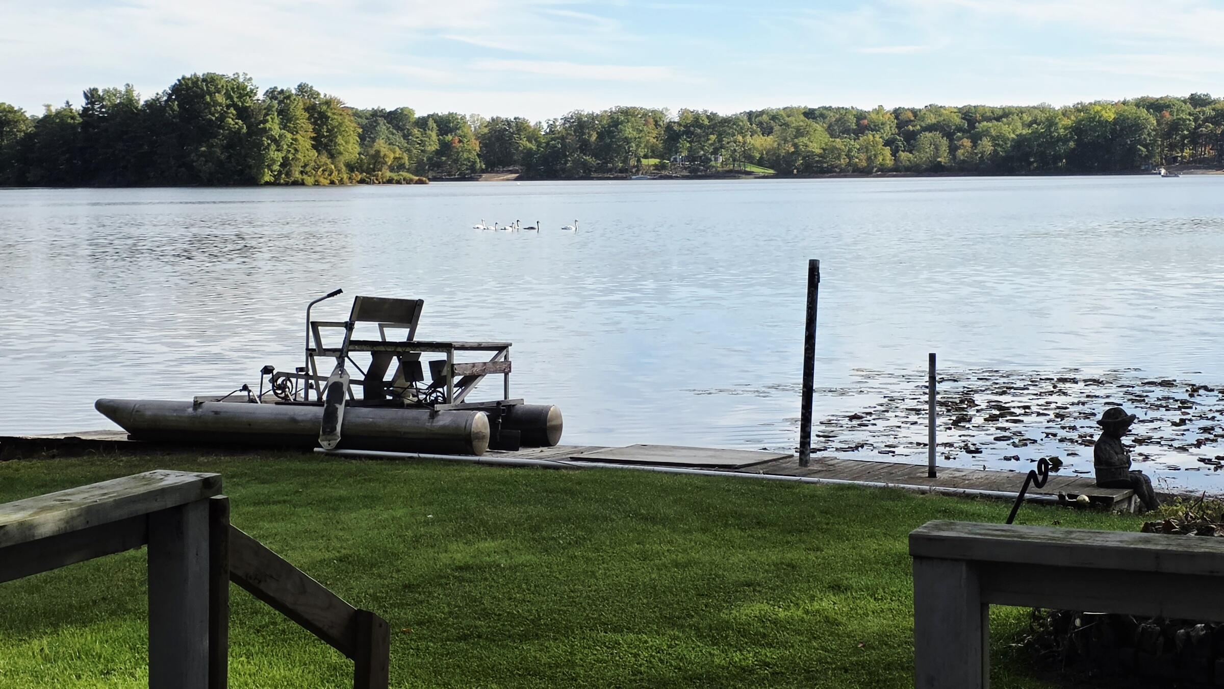 Image 3: 20251002_095241