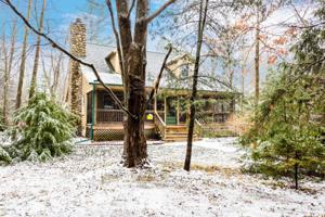 7230 Greenbush Road