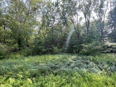 000 County Road 380