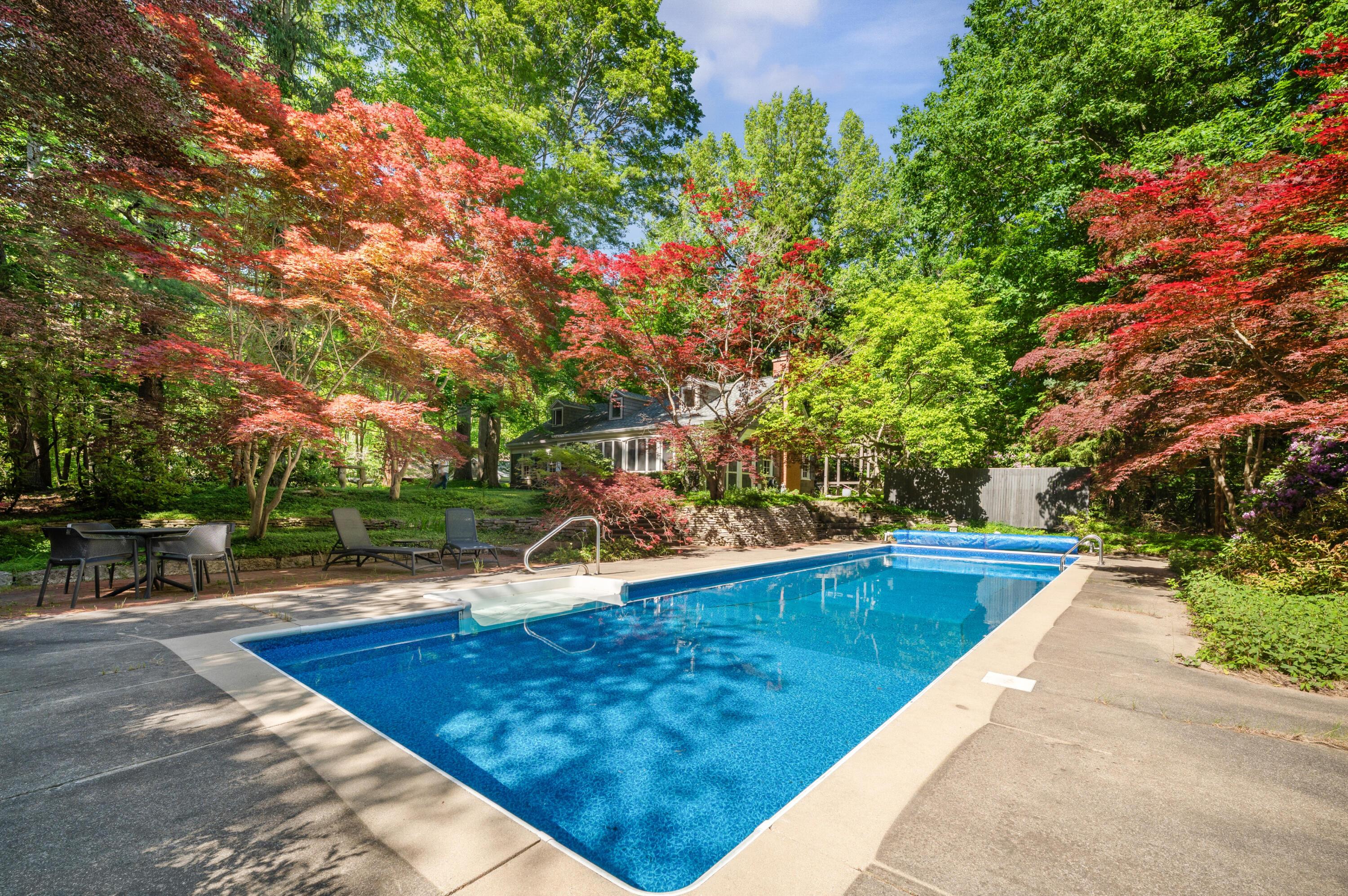 Image 3: Pool