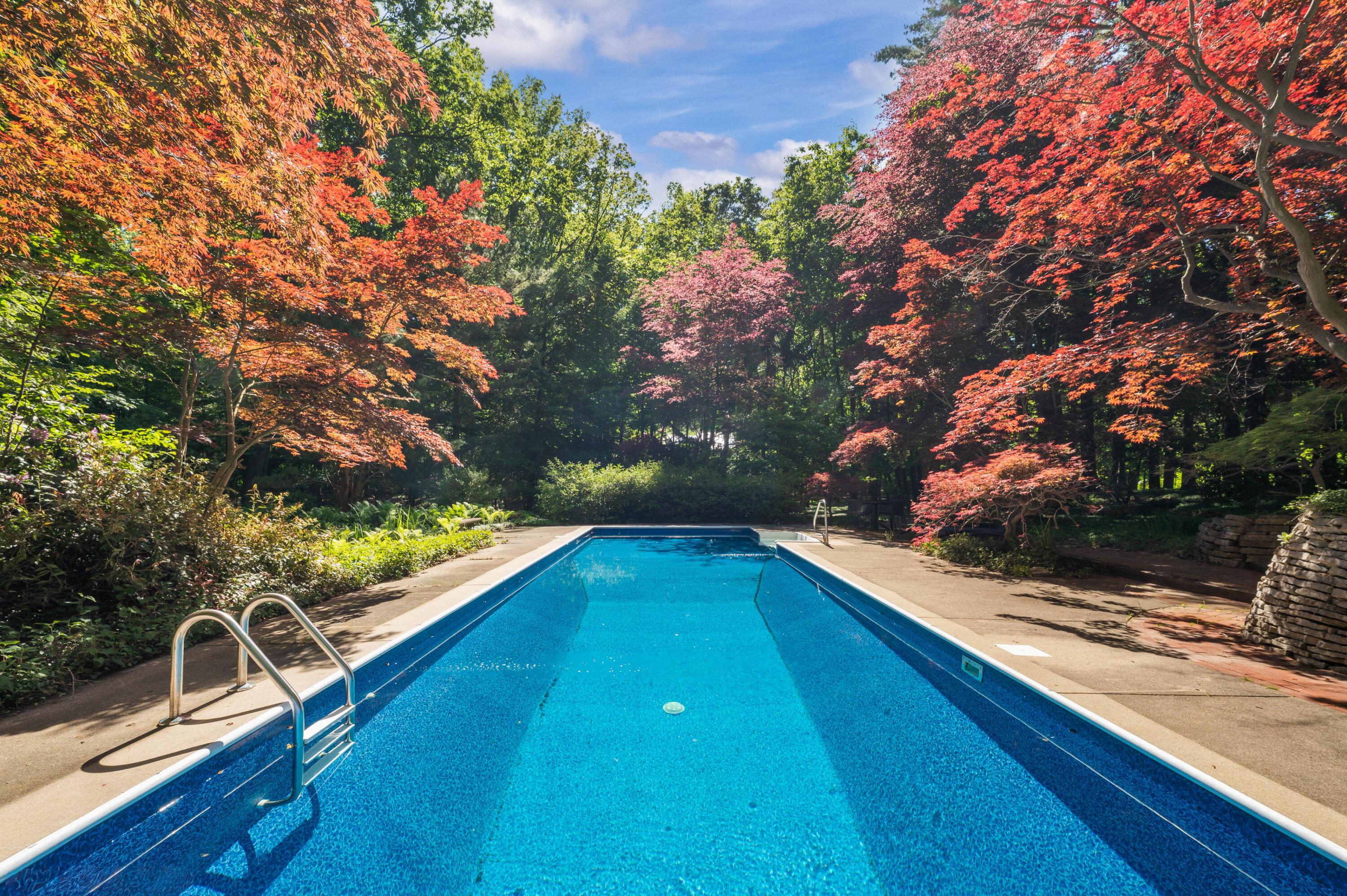 Image 4: Pool