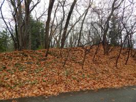 0 Hillside Trail