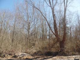 lots 12&13 Beach Drive