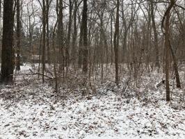 4155 Choctaw Trail