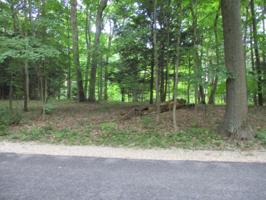 0 Beech Drive
