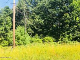 Parcel B Birchwood Drive