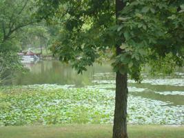 14044 Tyson Trail