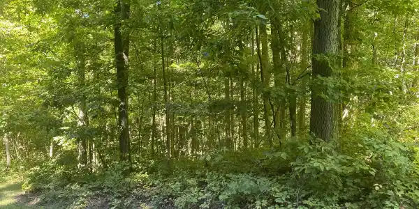 Long Lake Road