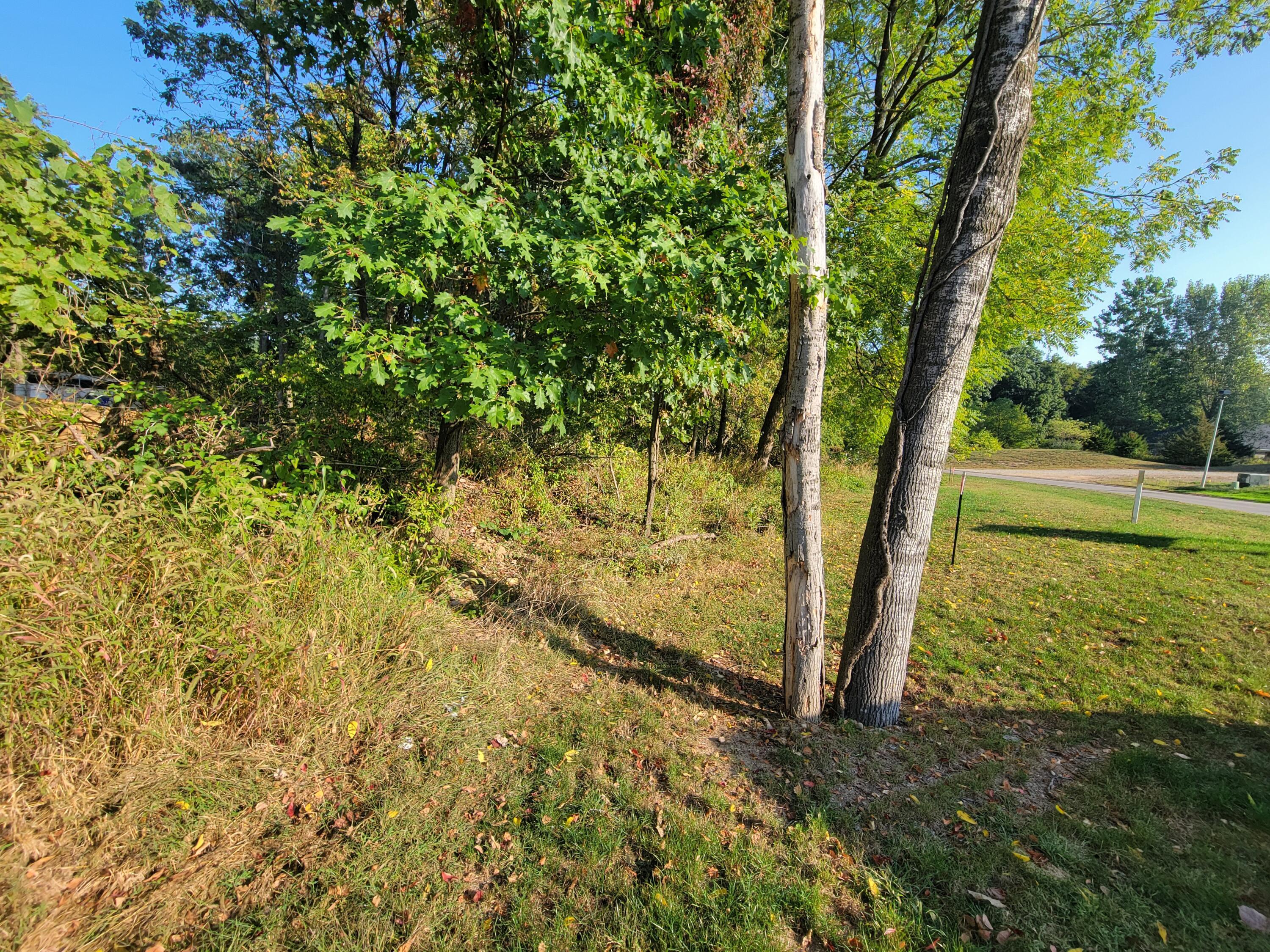 Image 4: Homesite #2