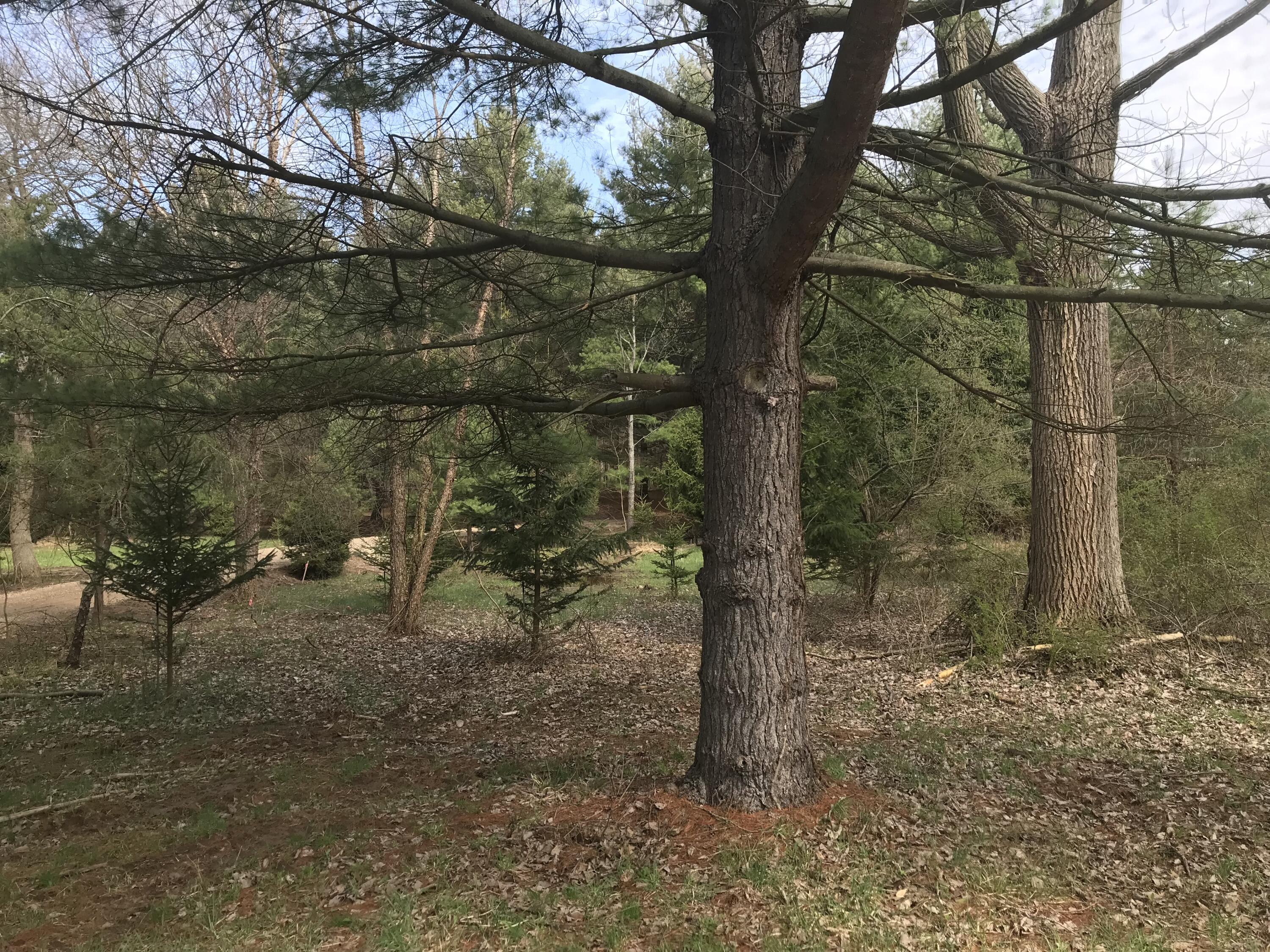 Image 3: IMG_2206
