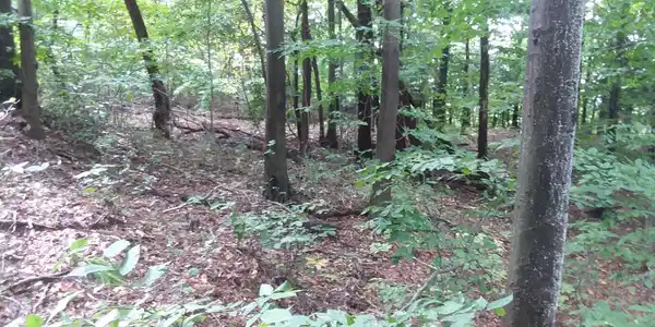 Lot 17 Sable Point Drive