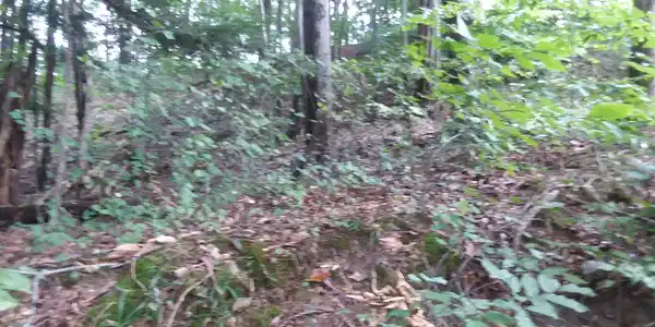Lot 22 Sable Point Drive