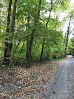 0 Horseshoe Drive
