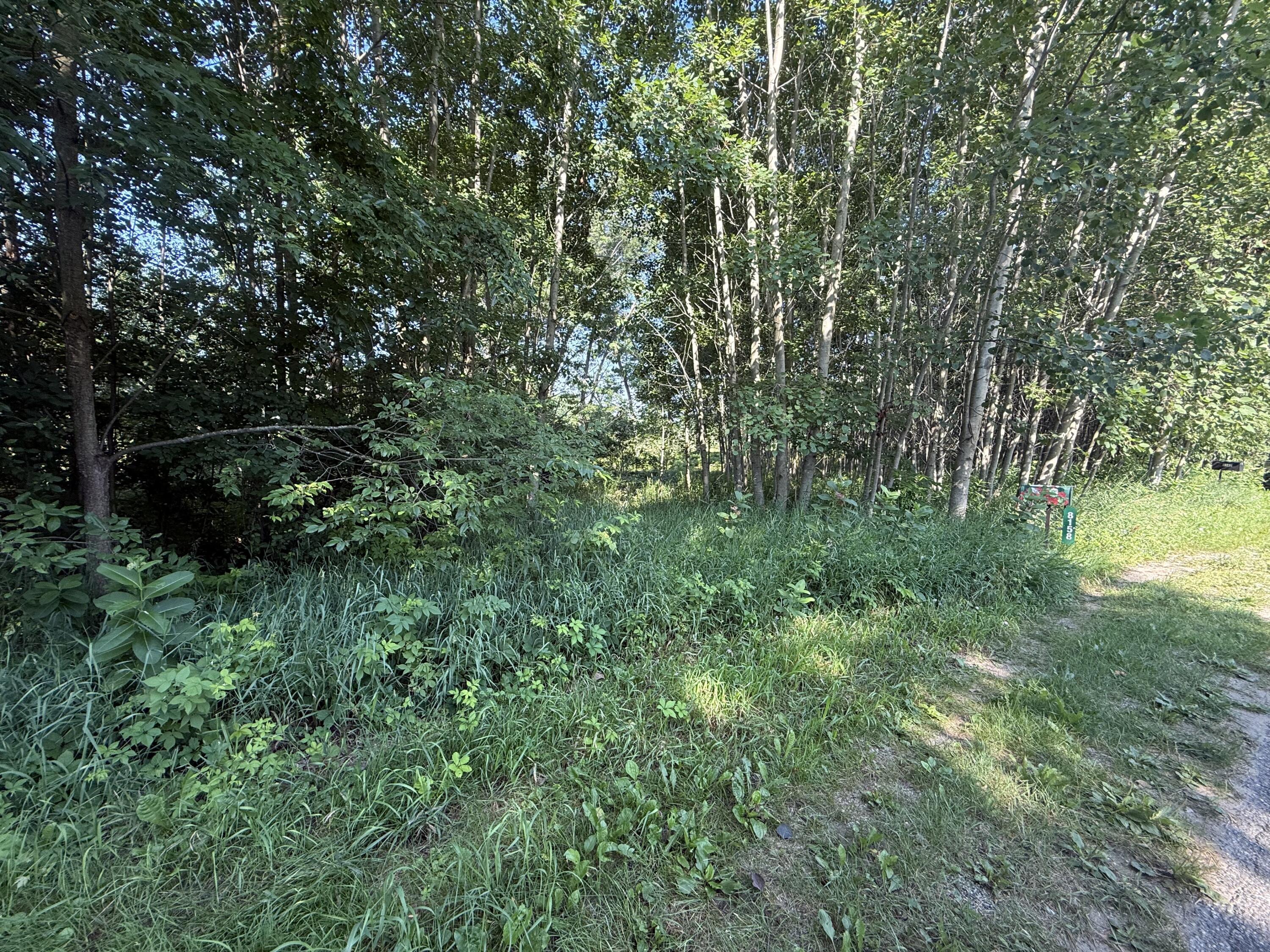 Image 2: IMG_0858