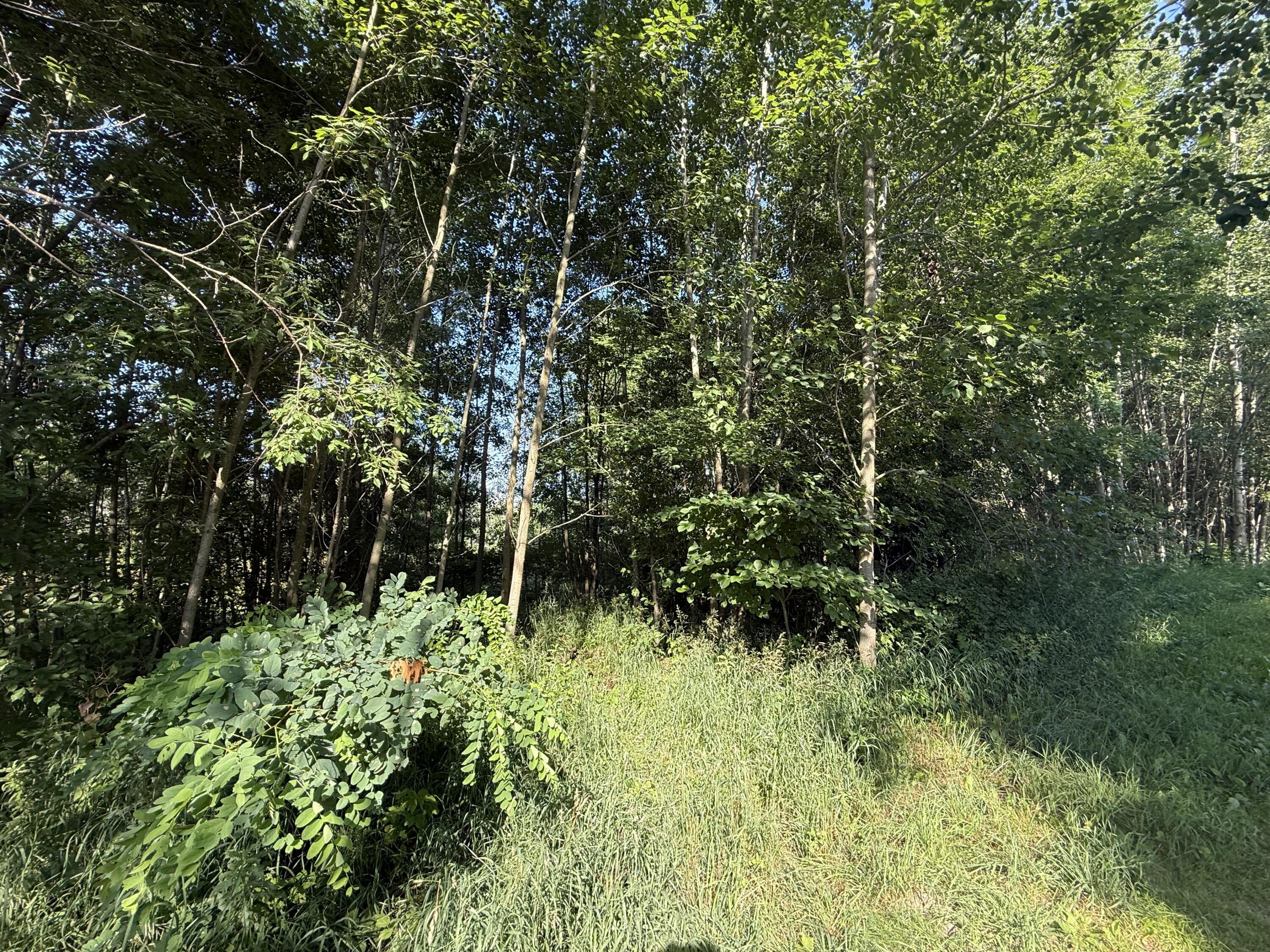 Image 3: IMG_0859