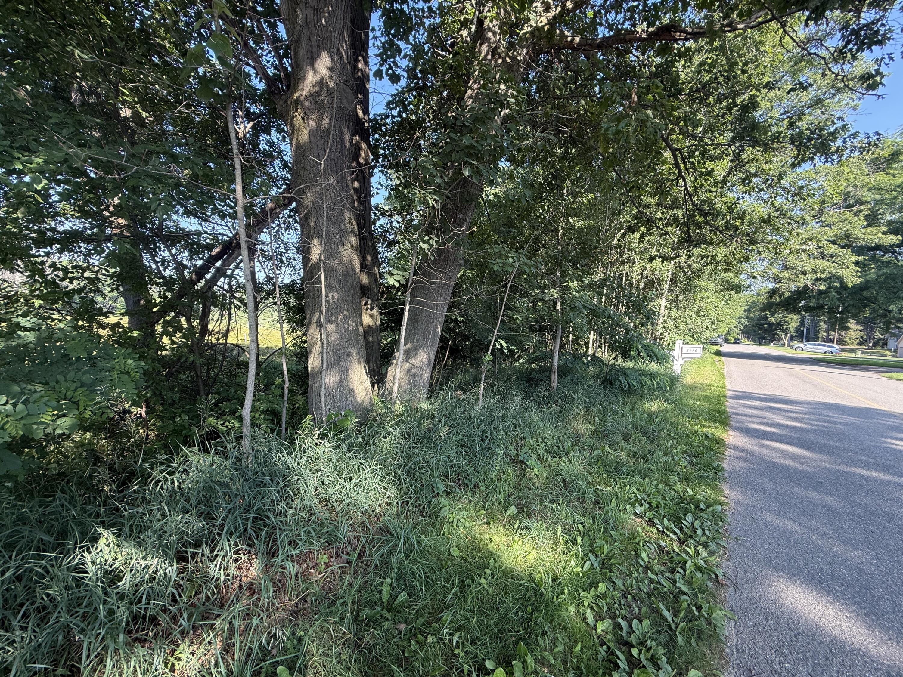 Image 4: IMG_0860