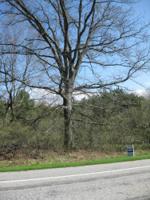 red apple rd. Road