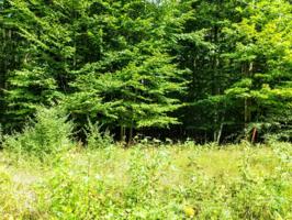 Lot 39 Shawnee Trail