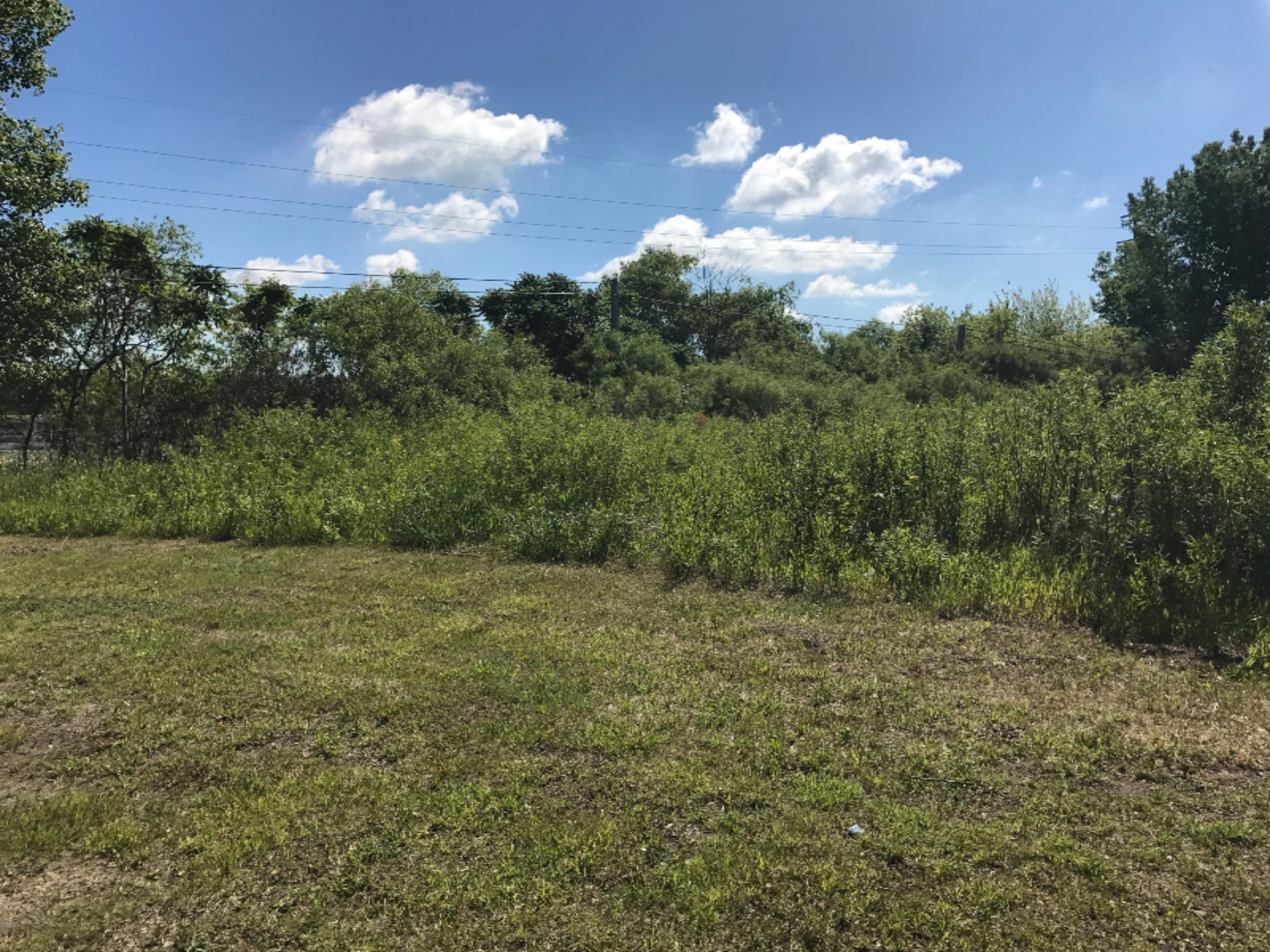 Image 3: 3AC63985-5575-45B8-9BD9-2E463E238419