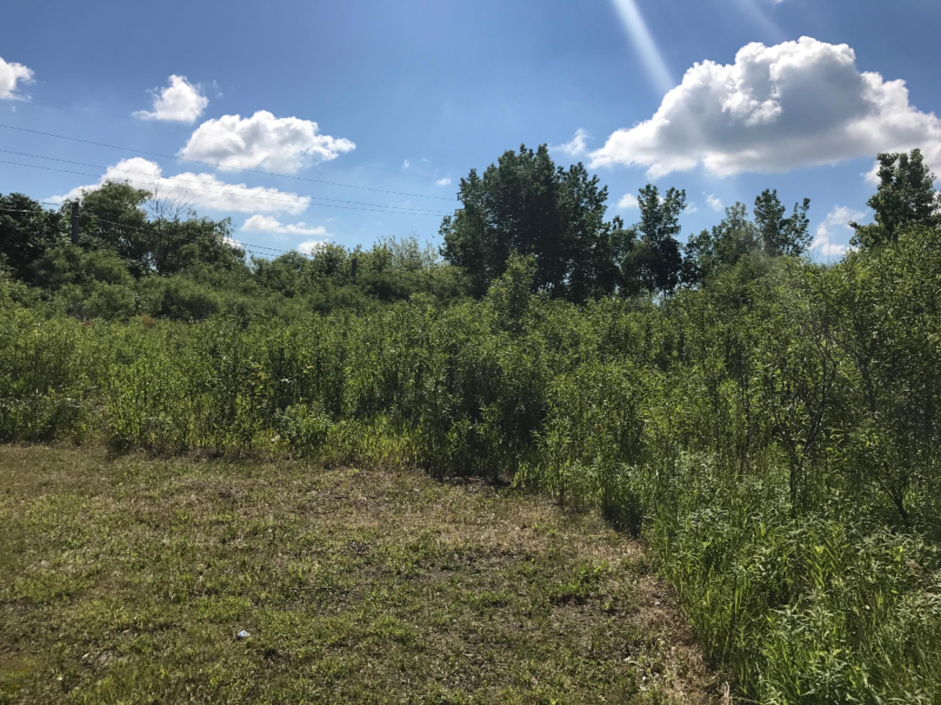 Image 4: 89FF04B2-FA9C-40E9-93EC-AD0E239DE9A6