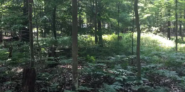 Tolliver Street