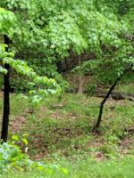Lot 2 Wildwood Drive