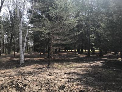 7087 Creekwood Drive