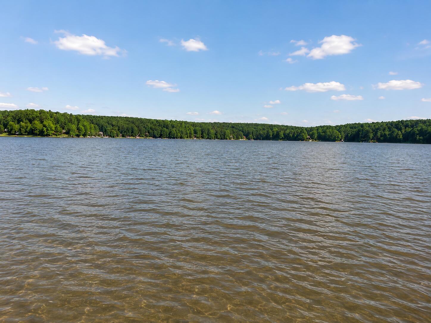 Image 4: River Views