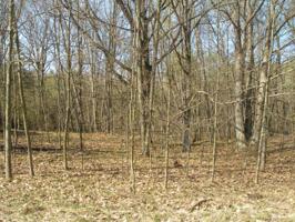 10012 Sweet Tree Lane