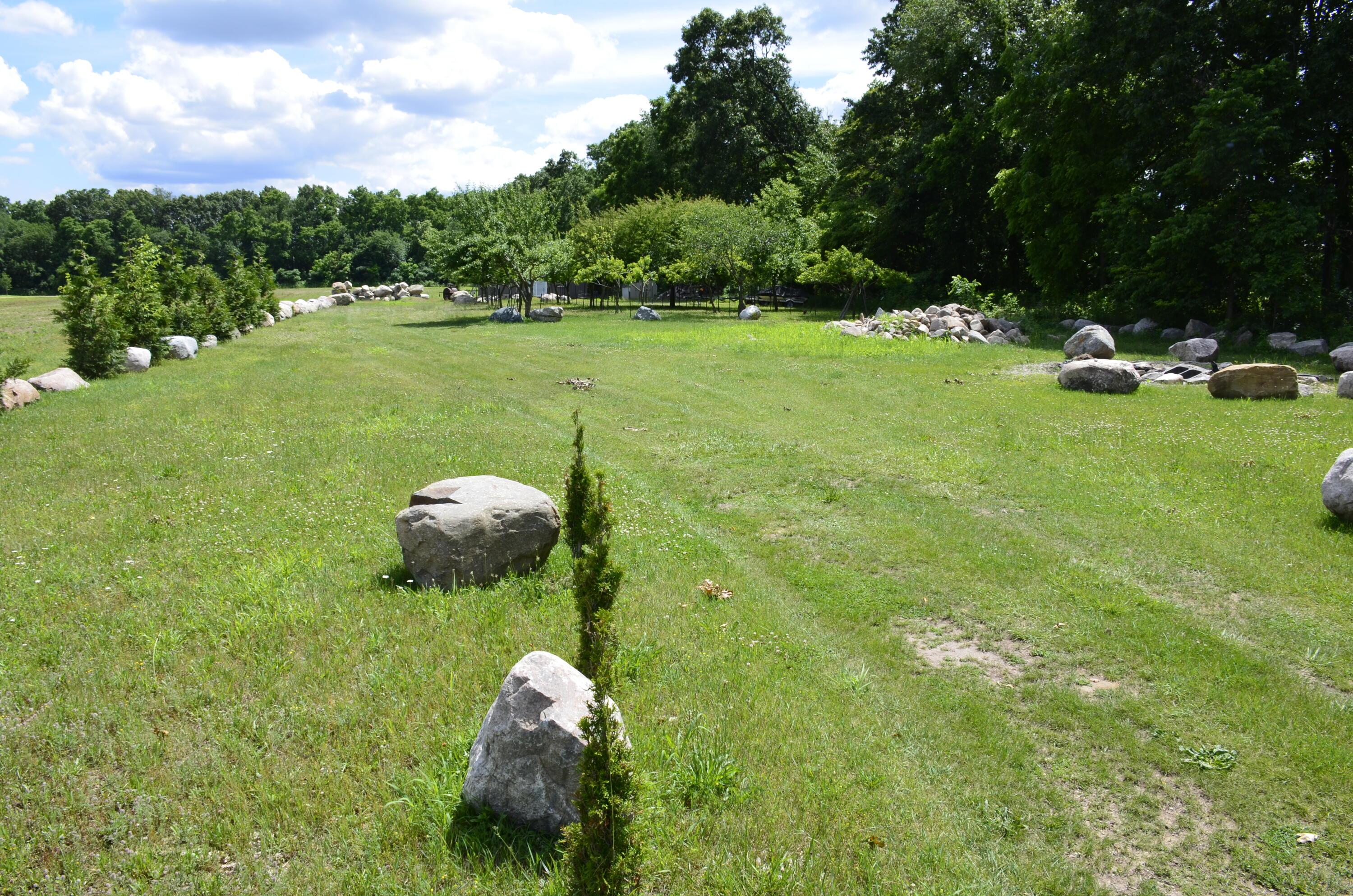 Image 2: _DSC0268