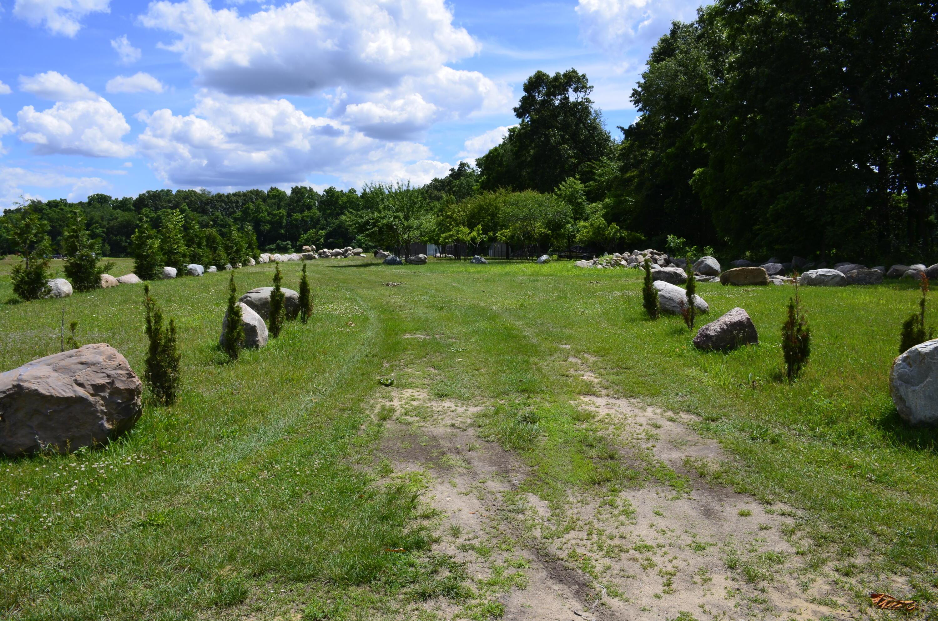 Image 3: _DSC0267