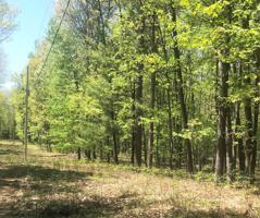 Basswood Bk 40 Lot 27-31 Street