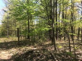 W Basswood BL 41 LOT 13&14 Street