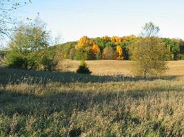 13958 Northmoor