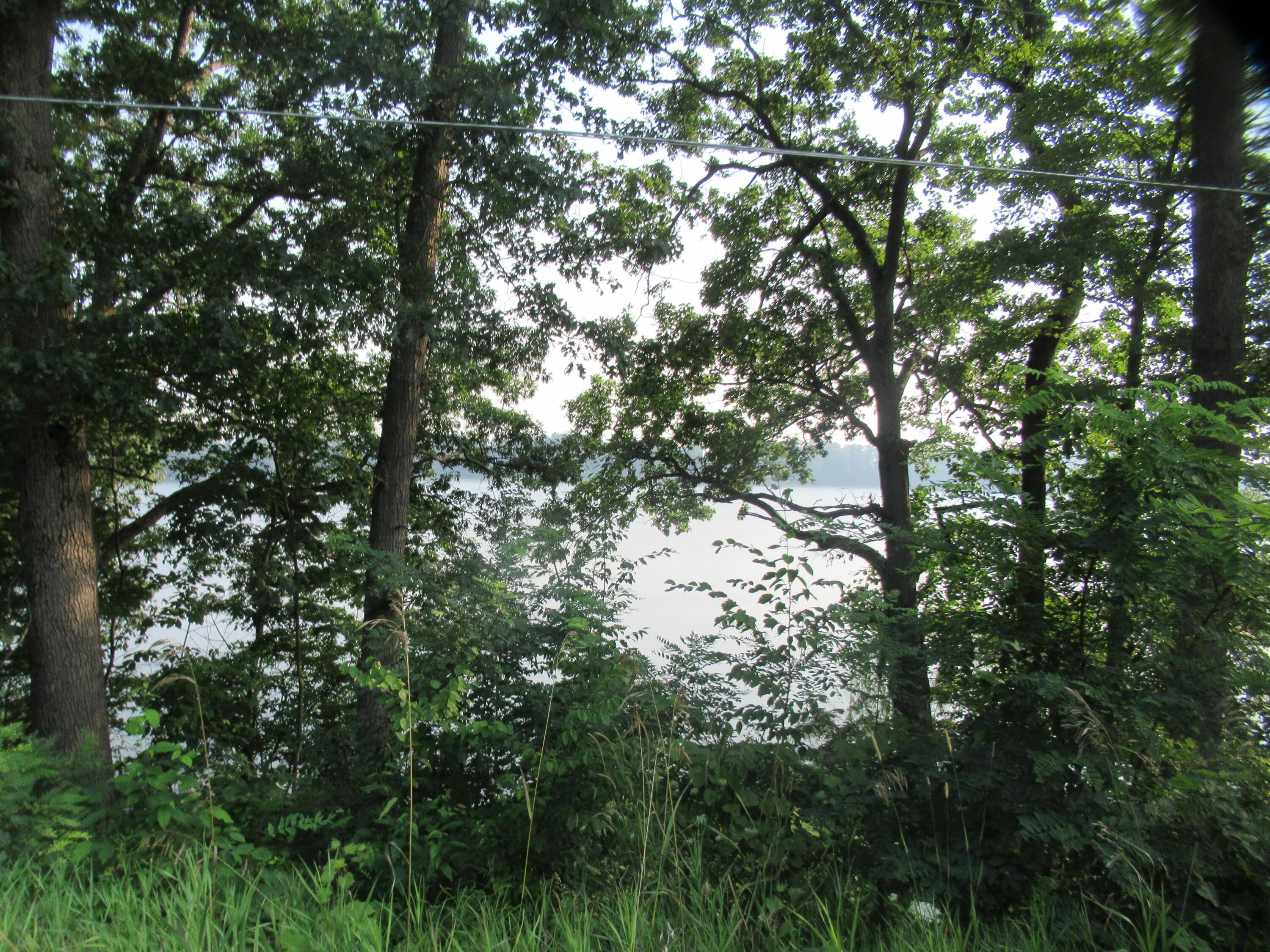 Image 4: IMG_0135
