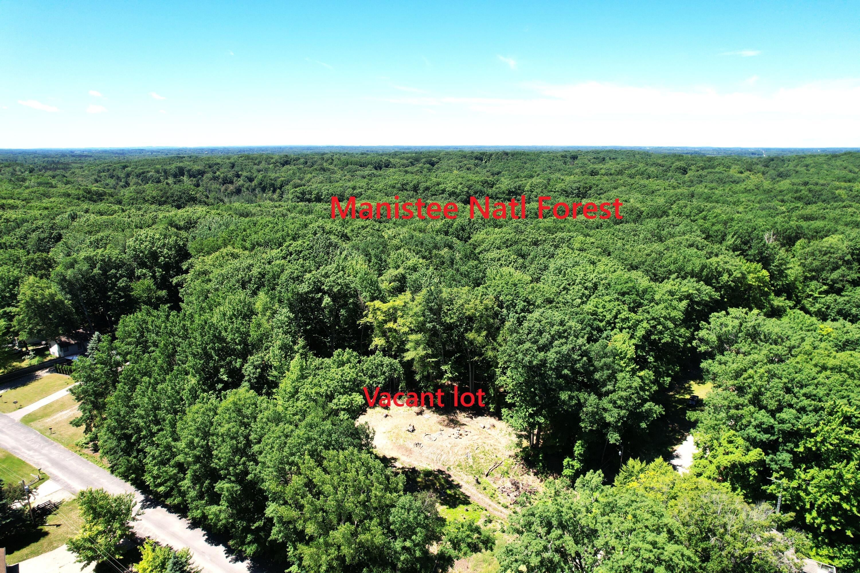 Image 3: Manistee Natl Forest