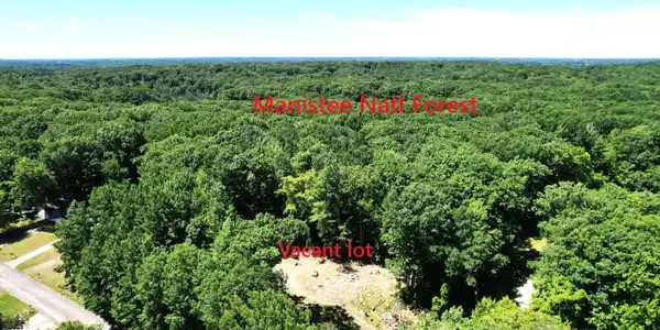 Image 3: Manistee Natl Forest