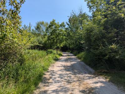 Lakeshore/Snape Road