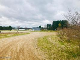 #3 Lakeshore Road