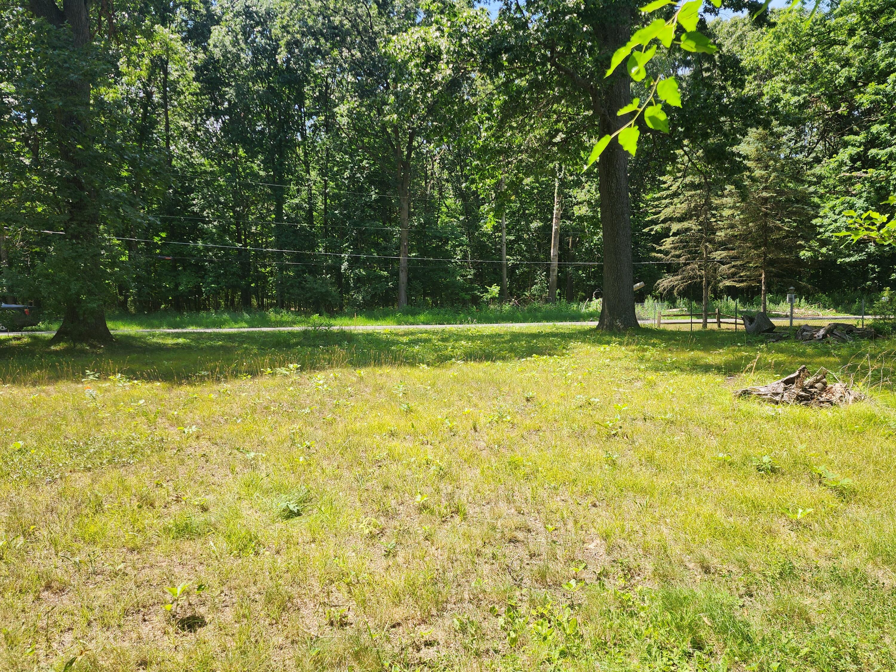 Image 3: 20250710_144931