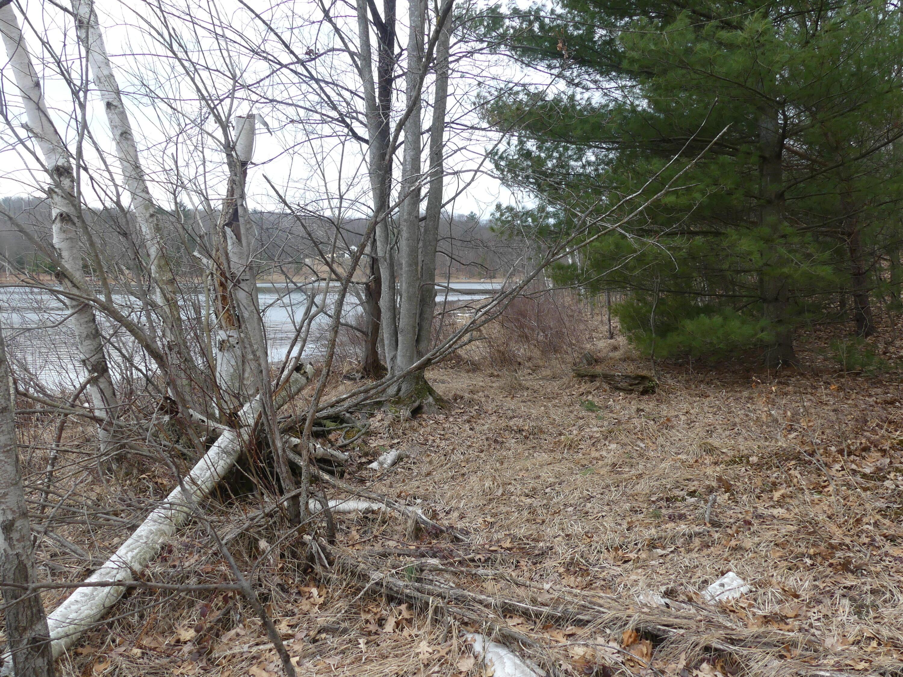 Image 3: P1150497