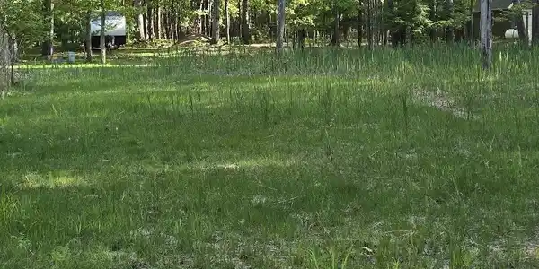 Lot 4,5,16 RIDGE ROAD