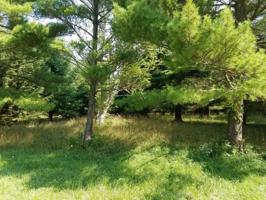 Creekwood Drive