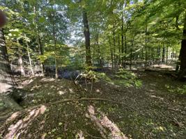 Lot 55 Creekwood Drive
