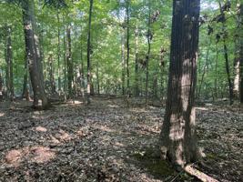 Lot 51 Creekwood