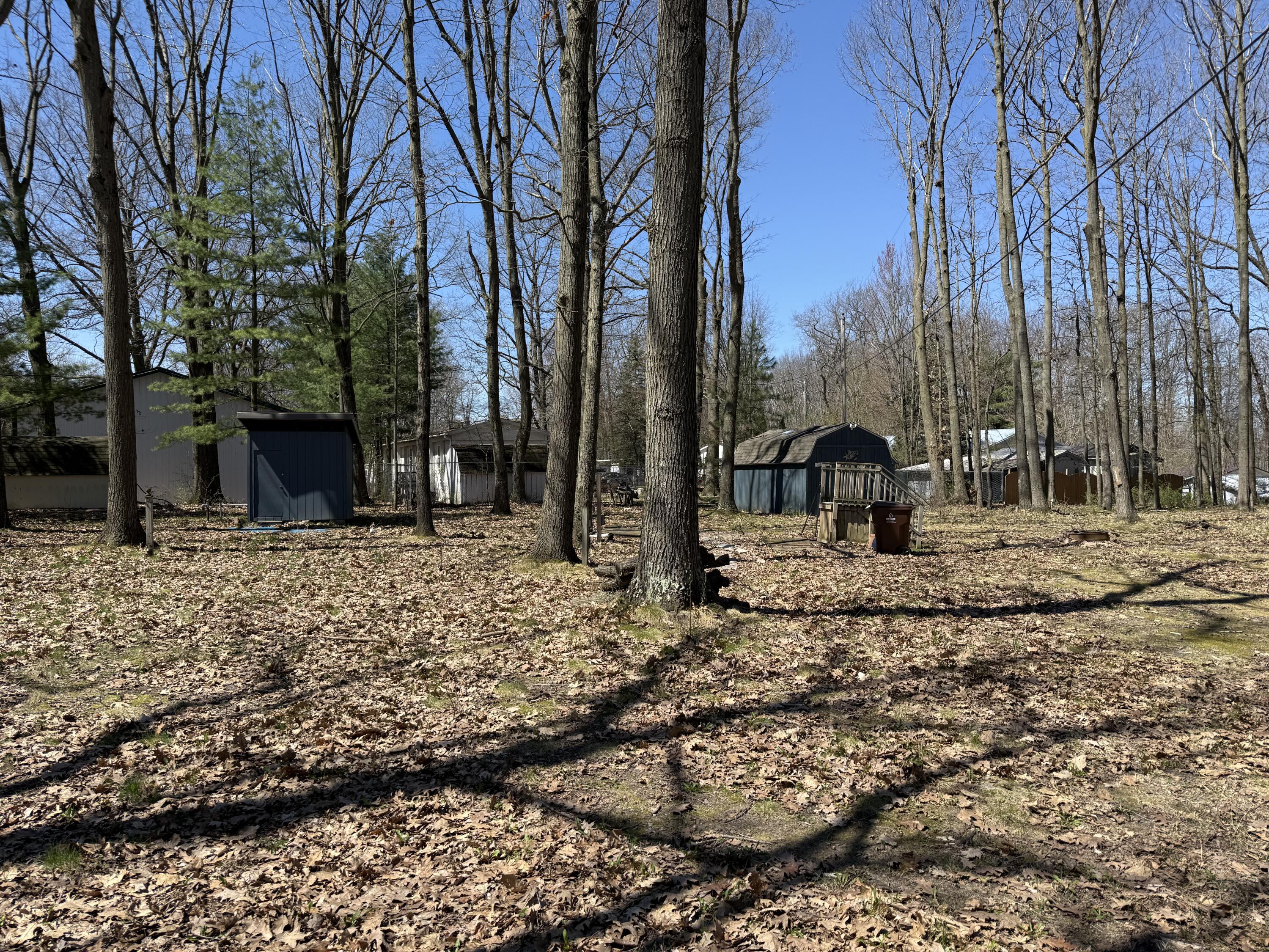 Image 2: IMG_2231
