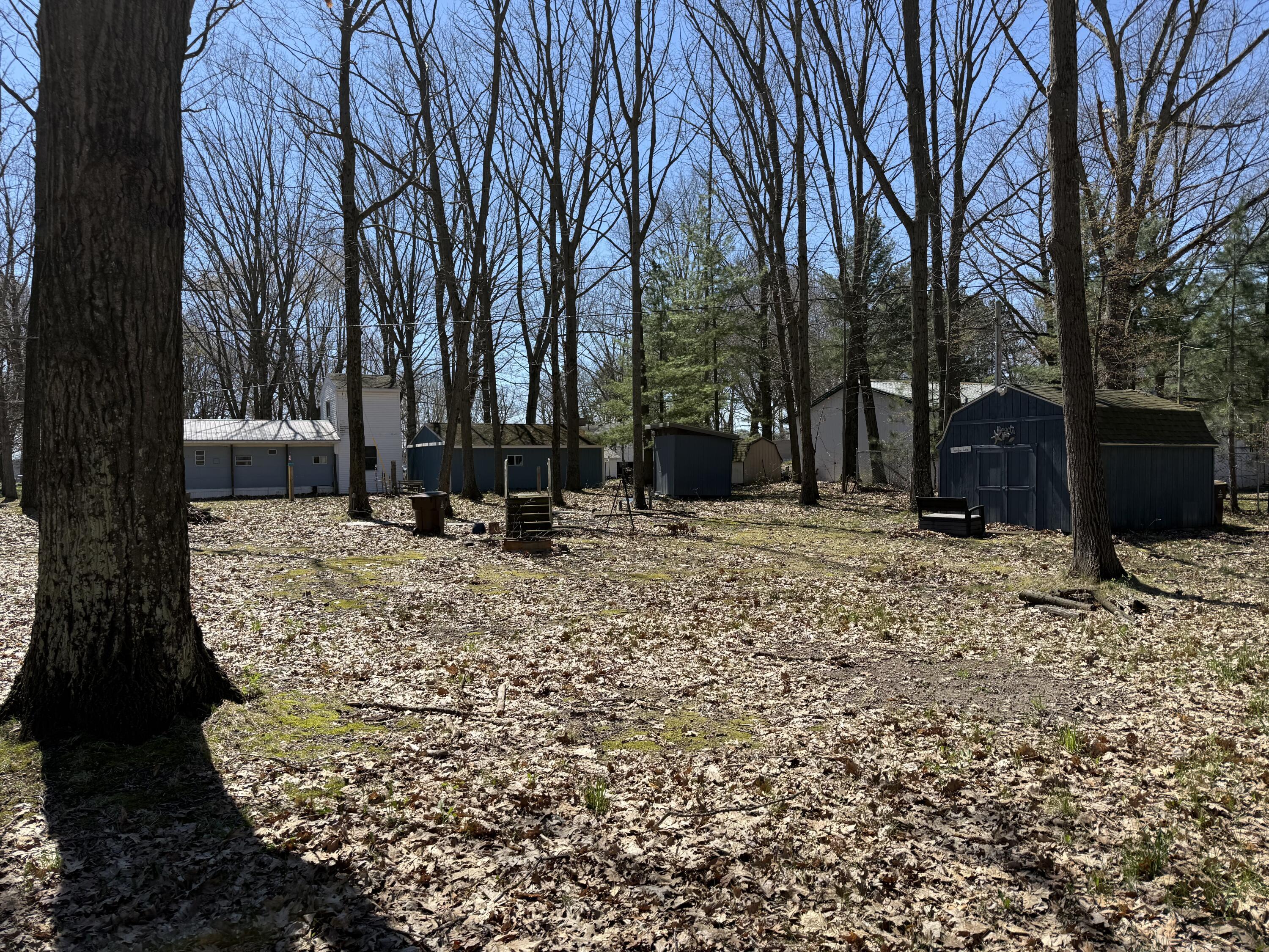 Image 3: IMG_2230