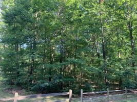 6691 Indian Pipe Circle
