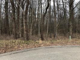 Lot 5 Wild Turkey Lane